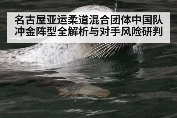 名古屋亚运柔道混合团体中国队冲金阵型全解析与对手风险研判